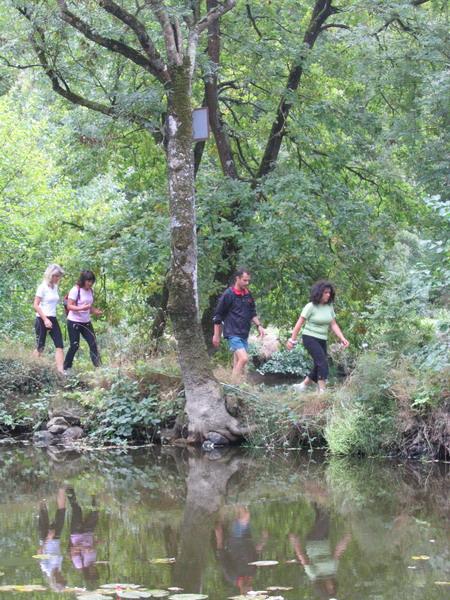 RdS2009_247_600.JPG