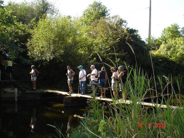 RdS2009_384_600.jpg