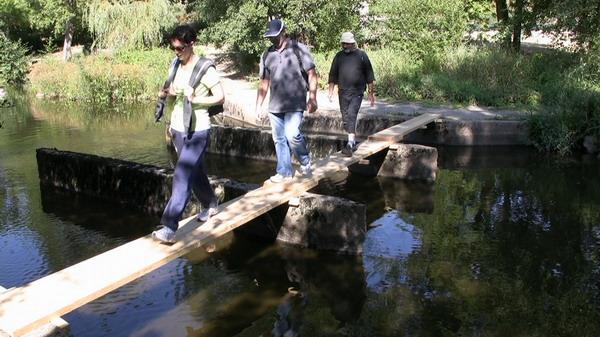RdS2009_385_600.JPG