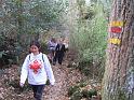 RdS2009_179_600