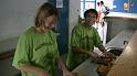 RdS2009_233_600