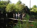 RdS2009_384_600
